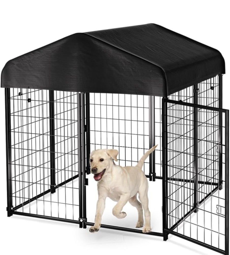 Screenshot_20240209_135325_Amazon Shopping.jpg