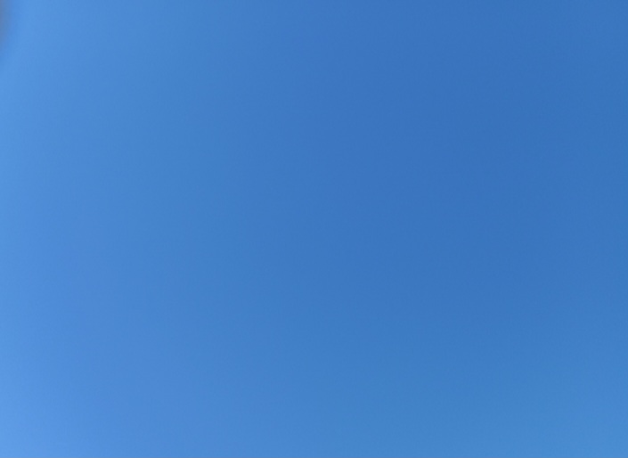 Screenshot_20240225_151914_Gallery.jpg