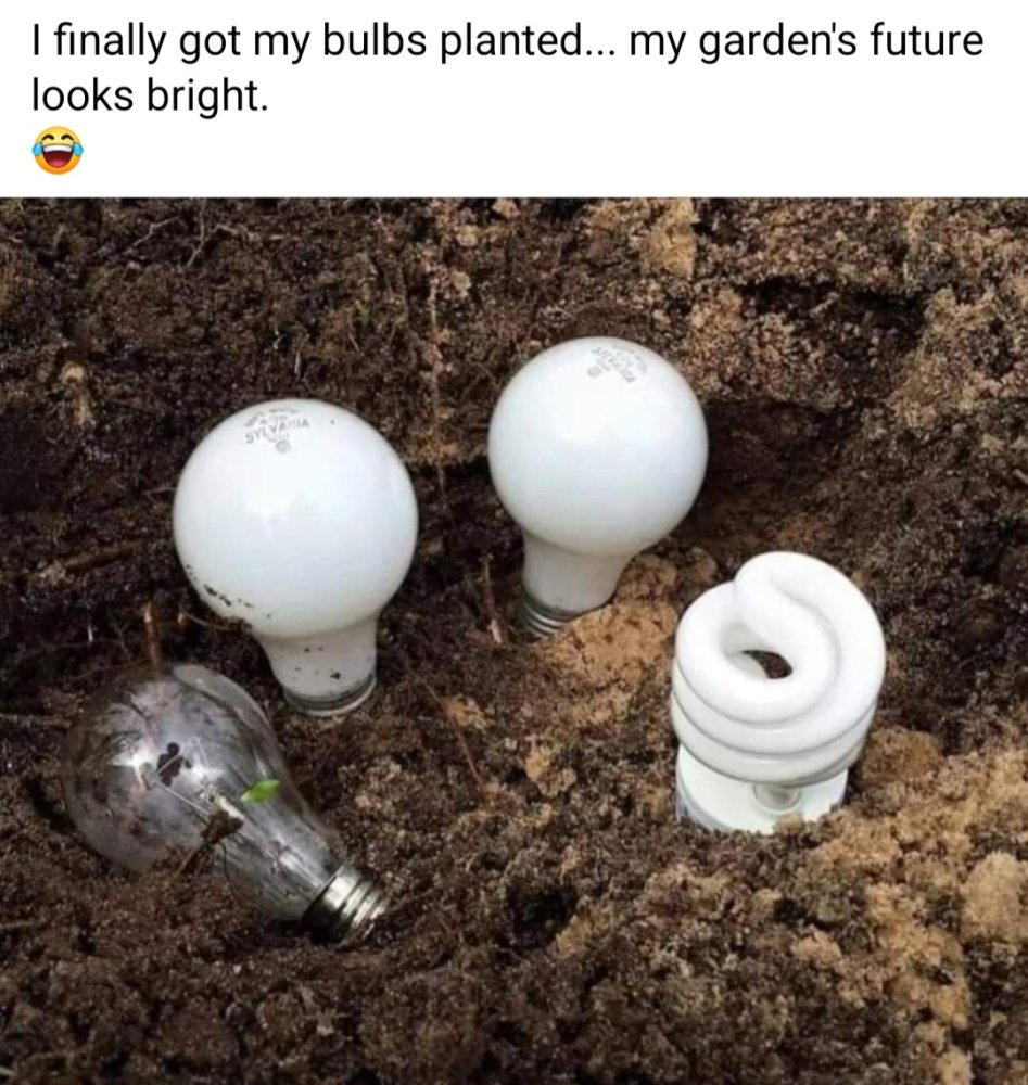 Screenshot_20240411-102734_Facebook.jpg