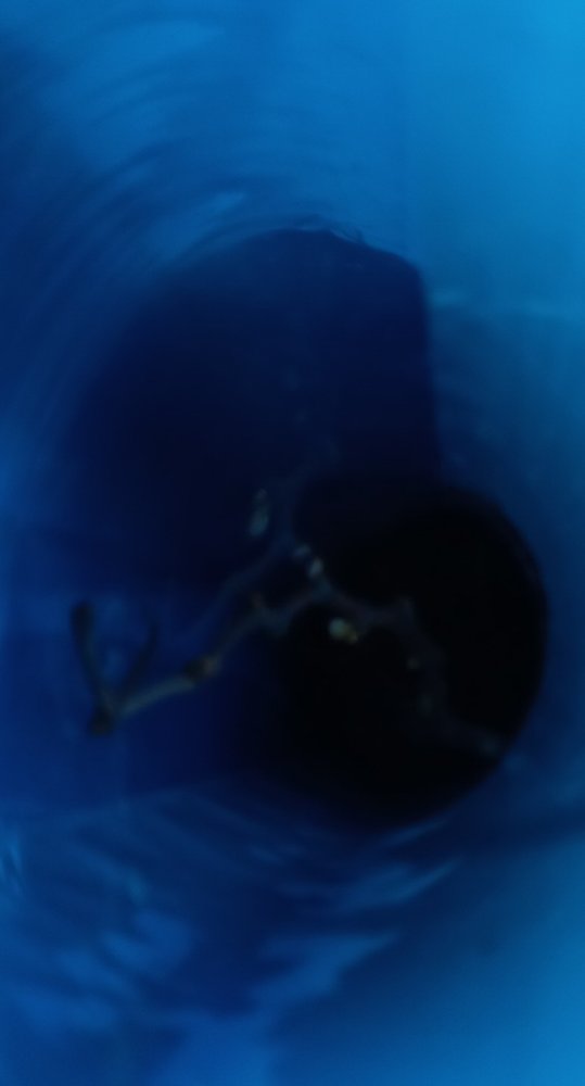 Screenshot_20240430_164713_Gallery.jpg
