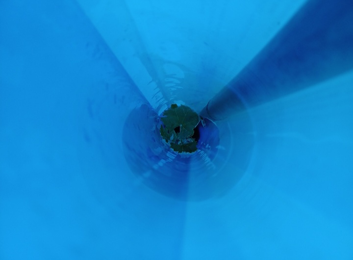Screenshot_20240506_200828_Gallery.jpg