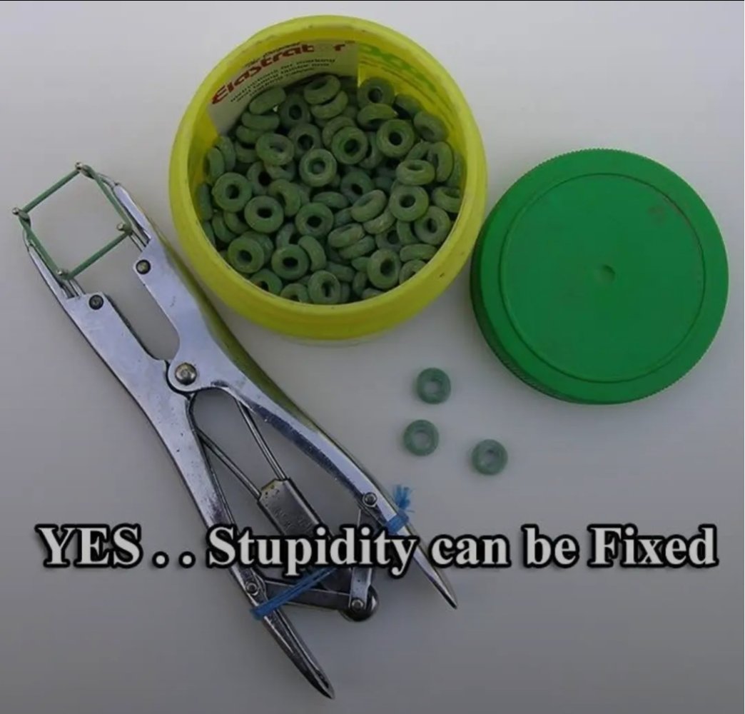 Screenshot_20250706_115616_Chrome.jpg