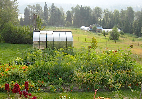 side garden 2014.jpg