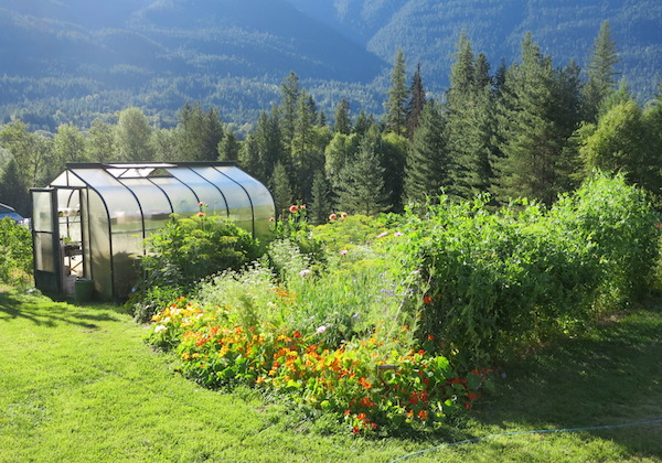 Side Garden.JPG