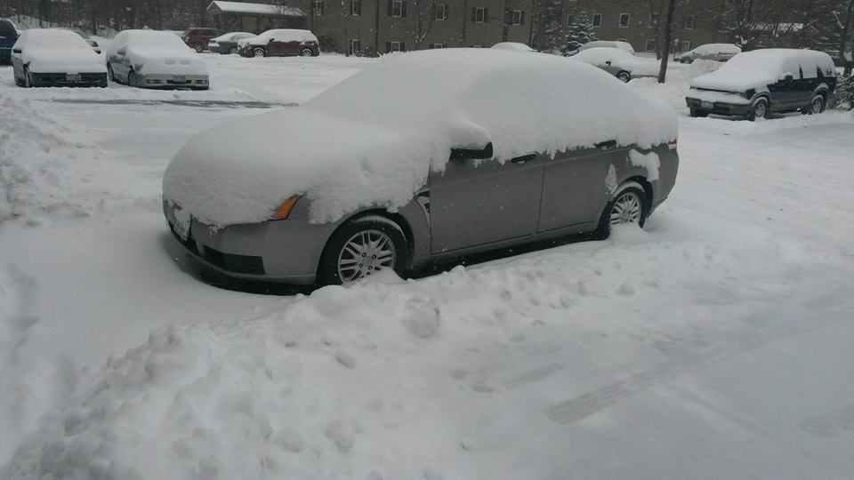 snowsnowsnow.jpg