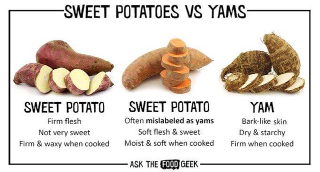 sweet-potato-vs-yam.jpg