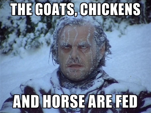 the-goats-chickens-and-horse-are-fed.jpg