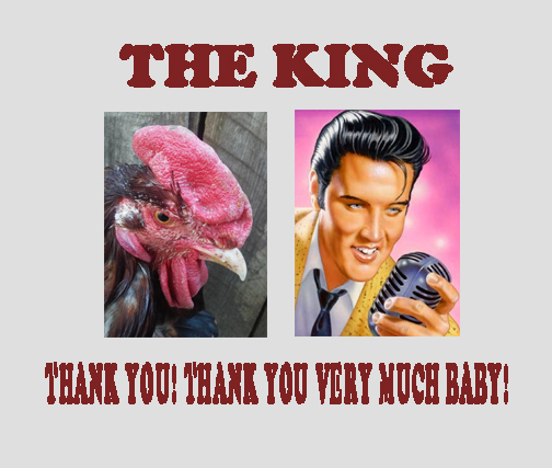 the king!.jpg