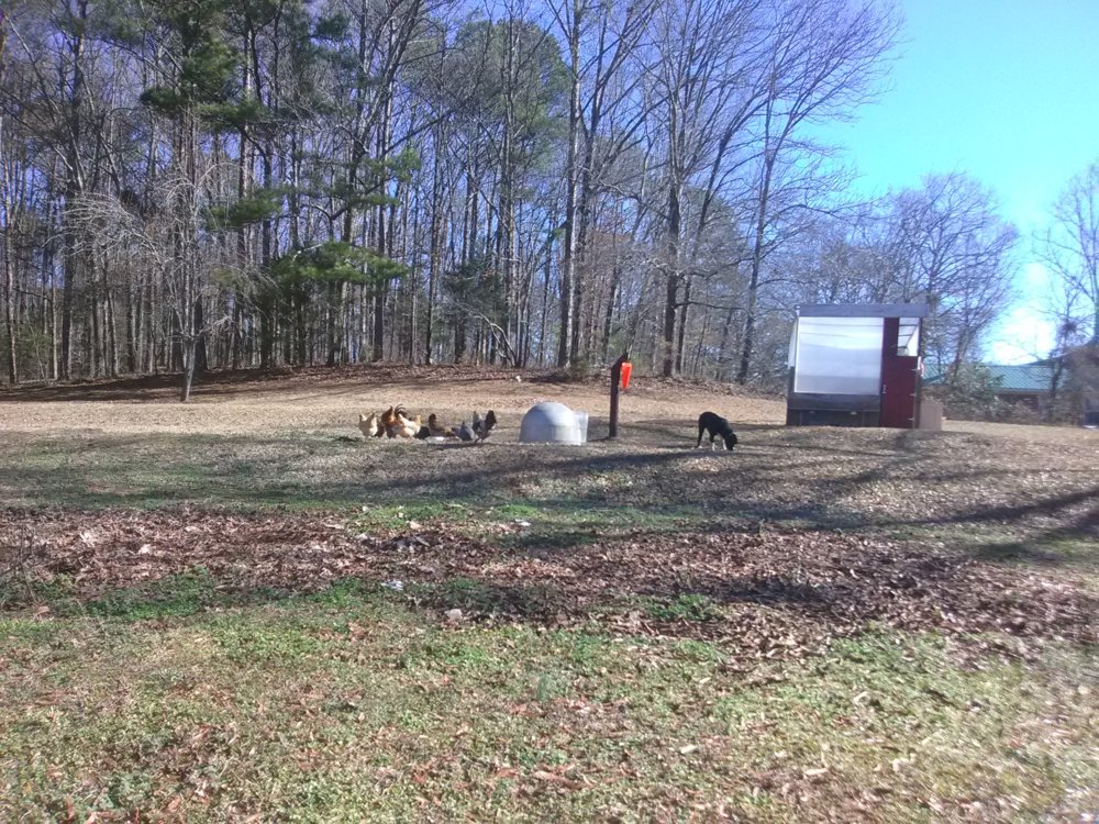 tmp_31645-IMG_20180129_110527976915982.jpg