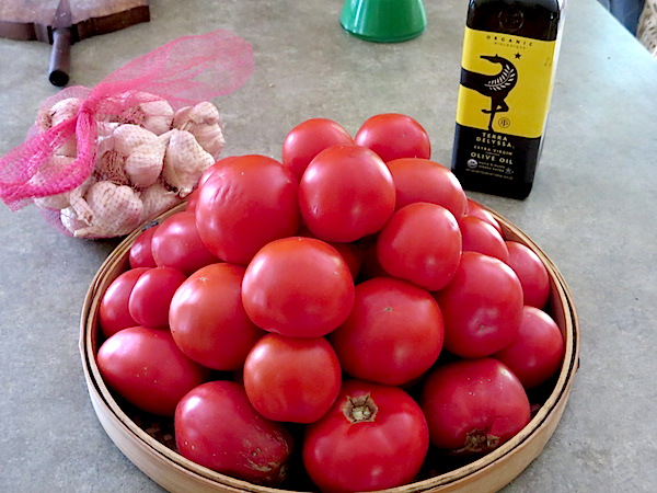 Tomatoes for Sauce.JPG