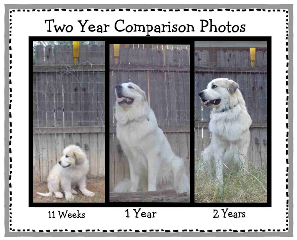 Two Year Comparison Photo email.JPG