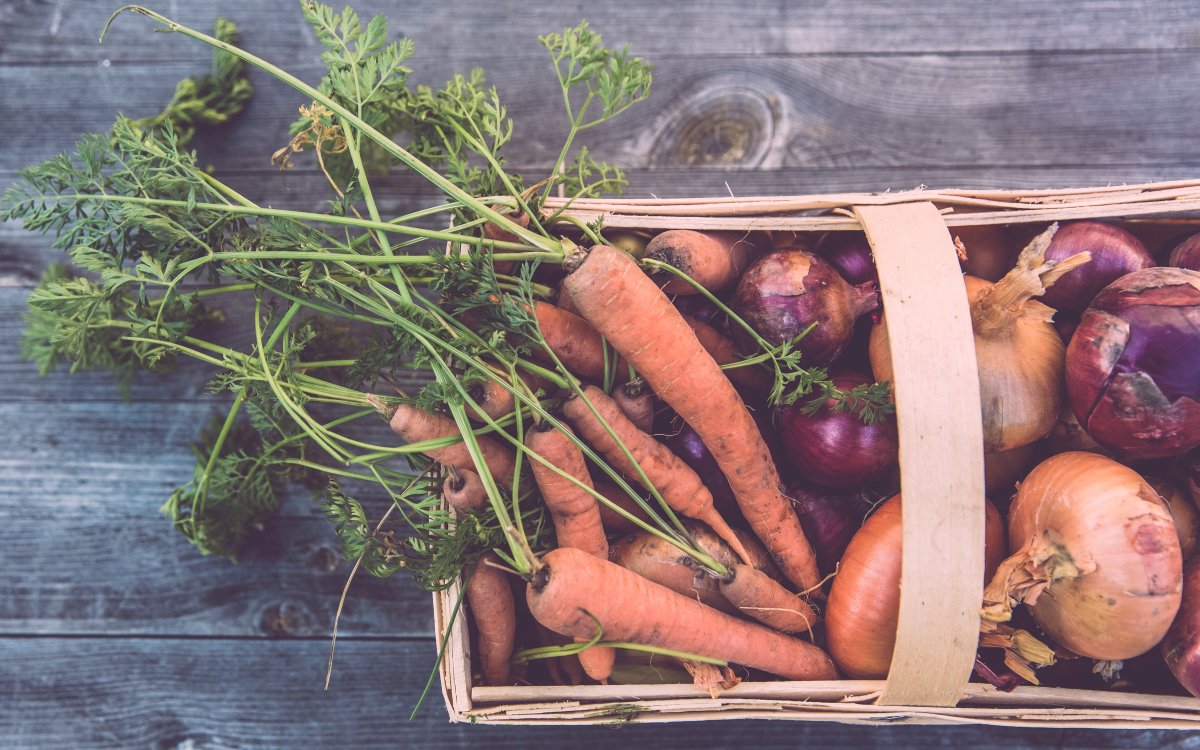 Growing Your Own Food and Living a More Natural Life Growing Your Own Food and Living a More Natural Life