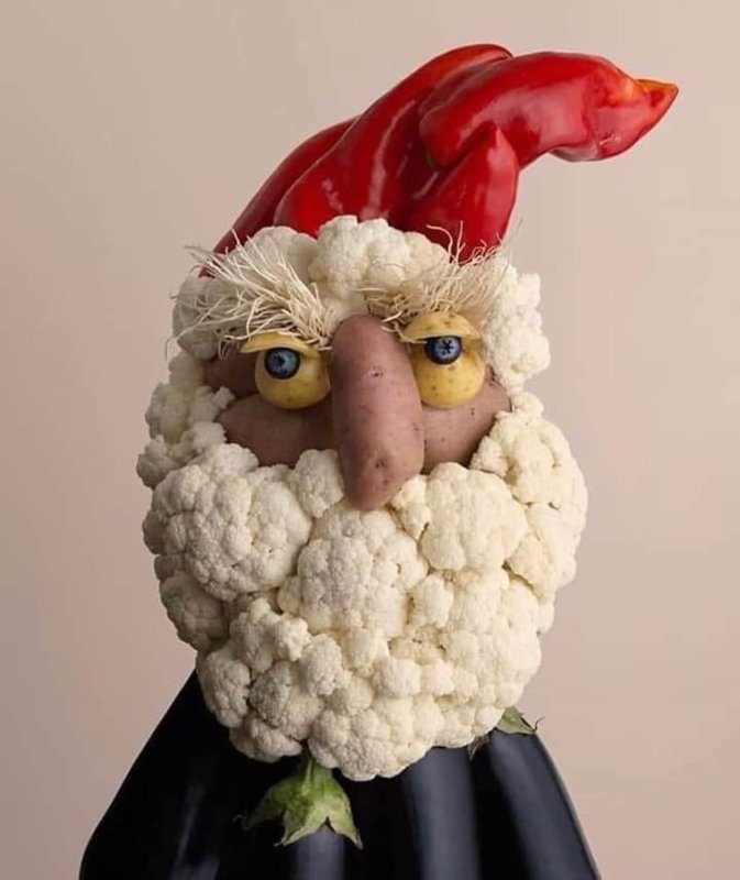 veggisanta.jpg