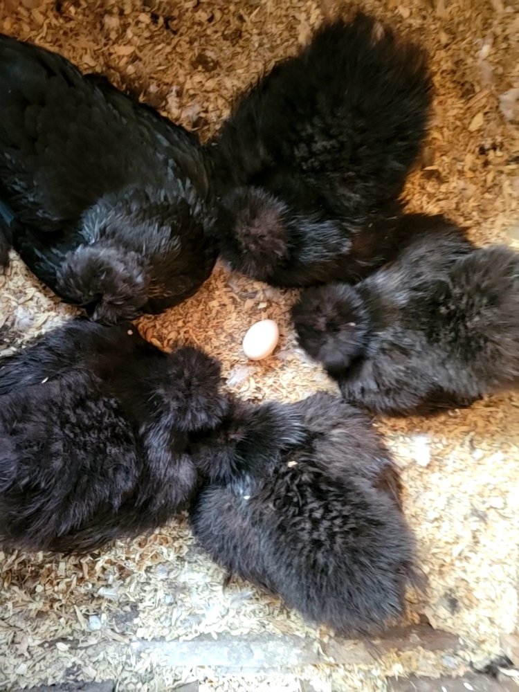 VideoCapture_20230522-201934.jpg