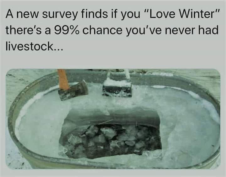 winter.jpg