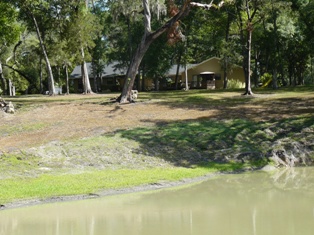 yard3.jpg
