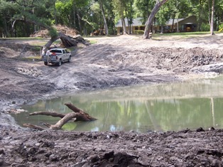 yard4.jpg