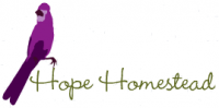 logo2.png