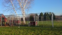 20190420_190527.jpg 20190420_190527.jpg