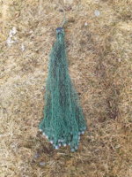 20190423_100231.jpg
