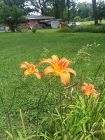 20190616_150004.jpg