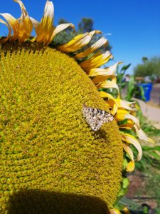 20200511_090153.jpg 20200511_090153.jpg