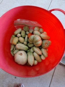 20200511_115605.jpg 20200511_115605.jpg