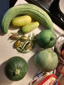 20200507_083721.jpg 20200507_083721.jpg