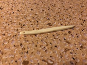 IMG_6949.jpg IMG_6949.jpg