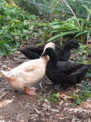 20200917_103341.jpg