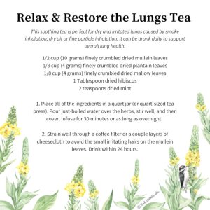 Mullein-Tea-Recipe.jpg