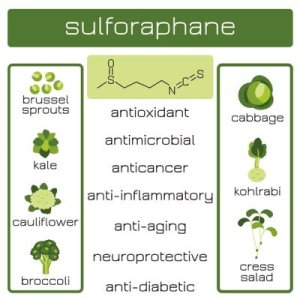 sulforaphane-infographic.jpg