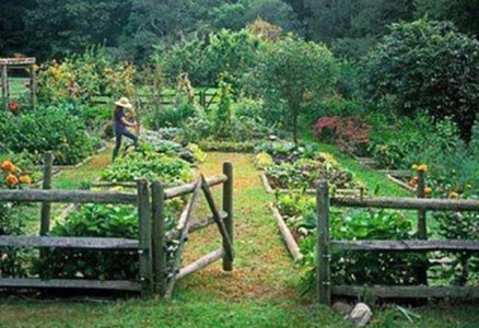 Connecticut-Kitchen-Garden-1.jpg