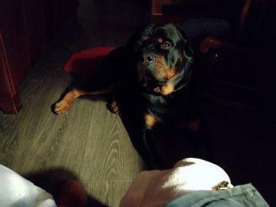 IMG_20220110_055555.jpg