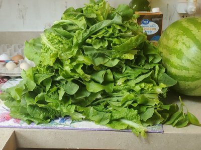 20220727_141256.jpg 20220727_141256.jpg