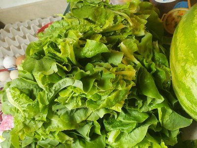 20220727_141303.jpg 20220727_141303.jpg