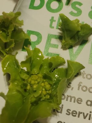 20220727_141958.jpg 20220727_141958.jpg