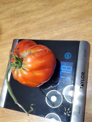 20220824_203319.jpg