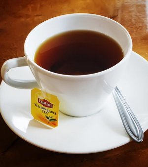 Lipton-Tea-During-Pregnancy-1-624x702.jpg