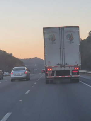 20221228_172646.jpg