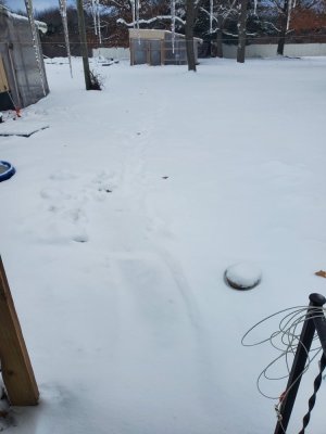 20230127_100558.jpg 20230127_100558.jpg