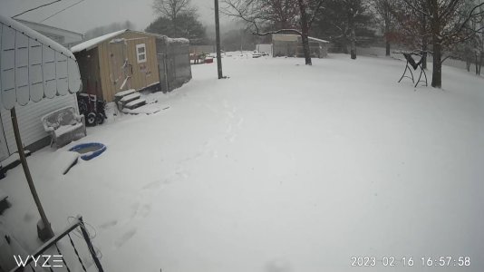 2CAA8EFA379B_1676584678186.jpg