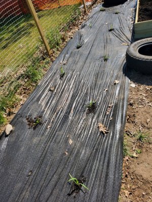 20230531_104930.jpg 20230531_104930.jpg