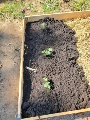 20230531_104959.jpg 20230531_104959.jpg