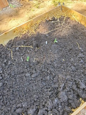 20230531_104953.jpg 20230531_104953.jpg