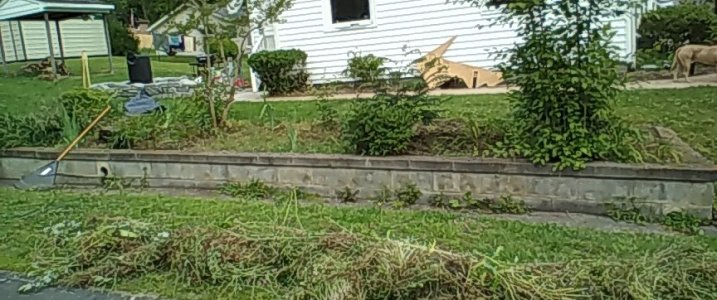 flowerbed1byroad.jpg