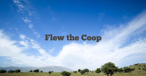 Flew-the-Coop2.jpg