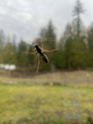 IMG_3995.jpeg