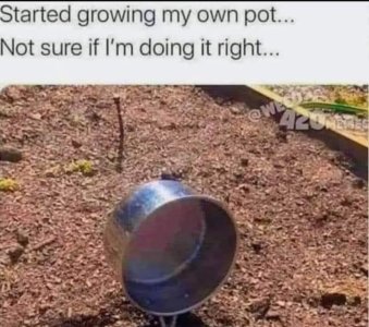 Screenshot_20240427_205437_Chrome.jpg Screenshot_20240427_205437_Chrome.jpg