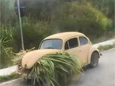 Screenshot_20240429_001736_Chrome.jpg Screenshot_20240429_001736_Chrome.jpg